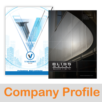 Company Profile Design- DayDreamingTeam